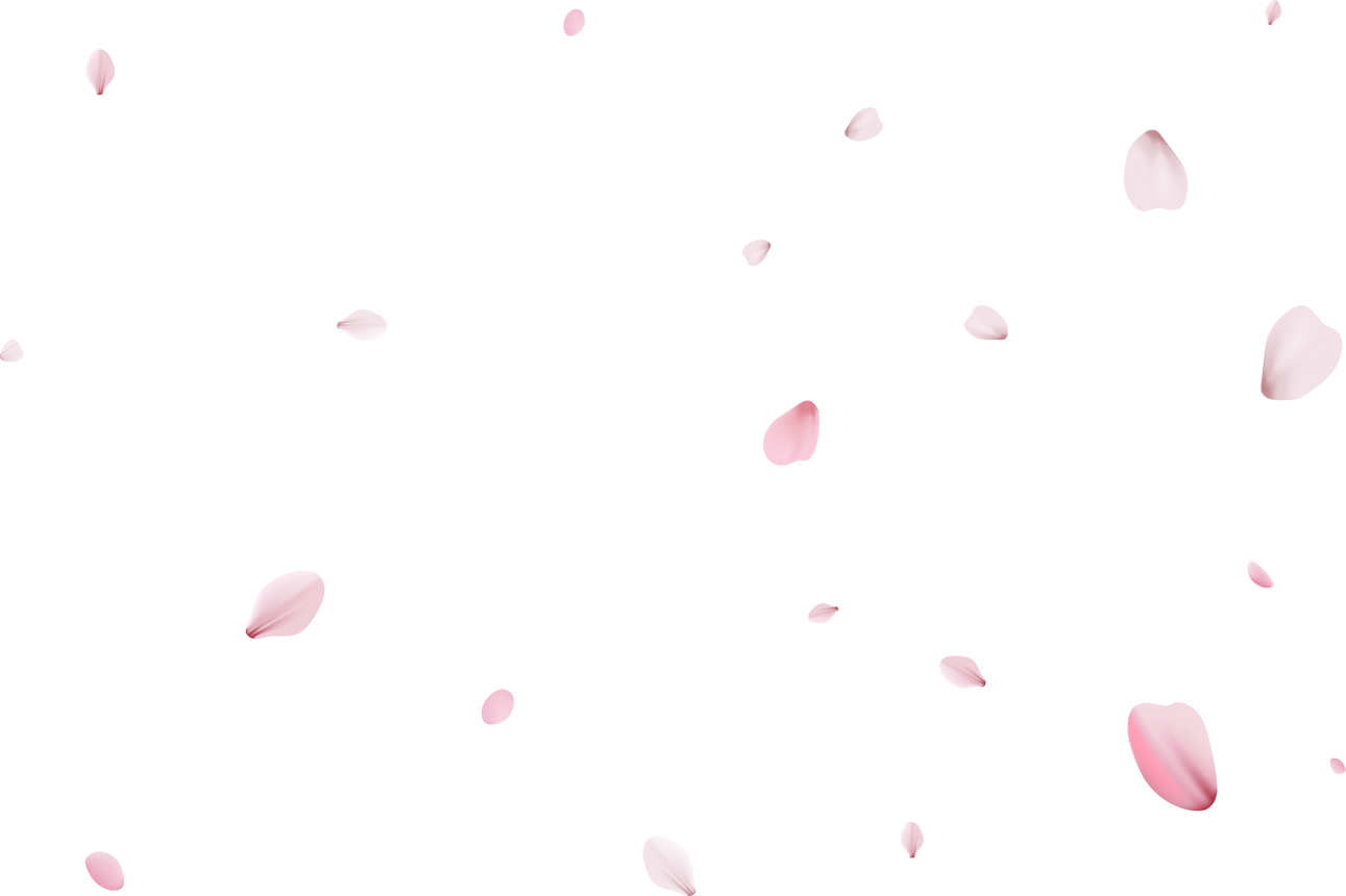 Sakura petals